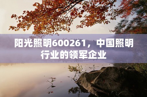 阳光照明600261，中国照明行业的领军企业