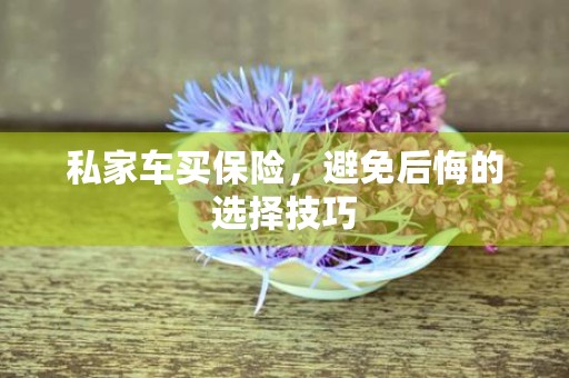 私家车买保险，避免后悔的选择技巧