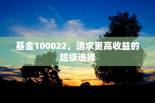 基金100022，追求更高收益的超级选择