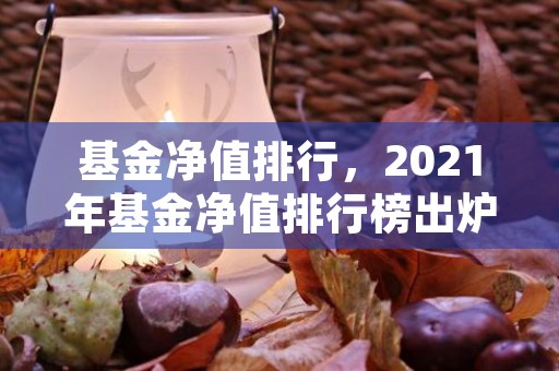 基金净值排行，2021年基金净值排行榜出炉你不能错过的明星产品，基金净值查询1234567