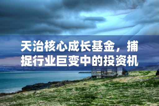 天治核心成长基金，捕捉行业巨变中的投资机会