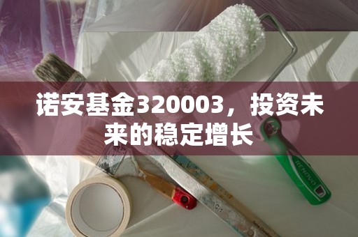 诺安基金320003，投资未来的稳定增长