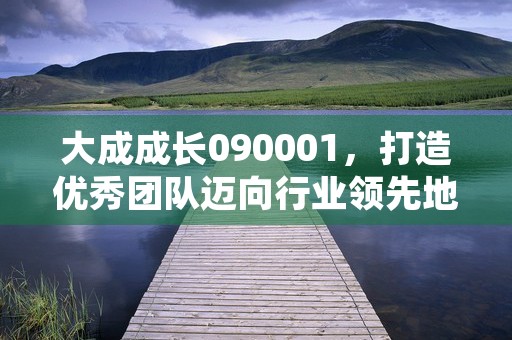 大成成长090001，打造优秀团队迈向行业领先地位