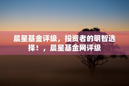 诺安基金公司：专业管理基金，助您实现财务自由