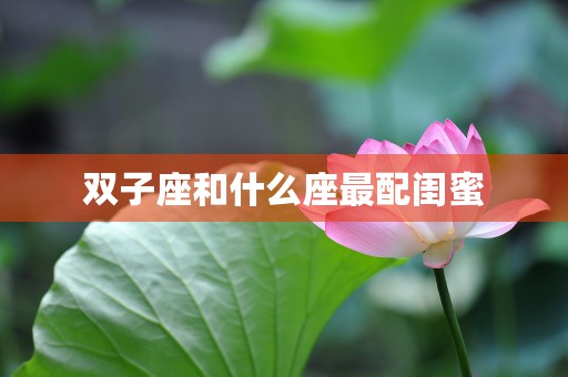 12生肖牛霸气图像，展现你的自信与魅力