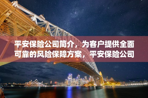 平安保险公司简介，为客户提供全面可靠的风险保障方案，平安保险公司简介视频5分钟