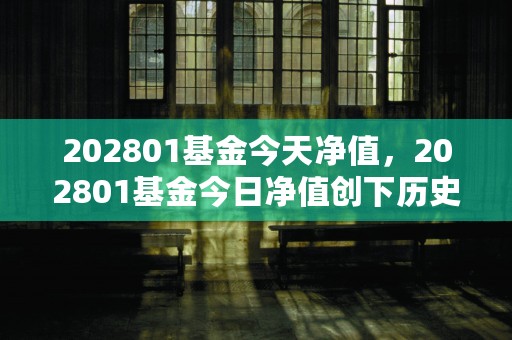 202801基金今天净值，202801基金今日净值创下历史新高