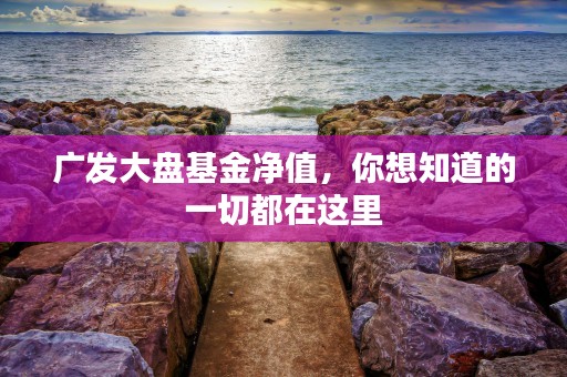 广发大盘基金净值，你想知道的一切都在这里