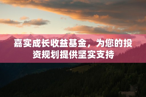 嘉实成长收益基金，为您的投资规划提供坚实支持