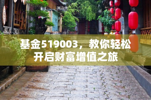 基金519003，教你轻松开启财富增值之旅