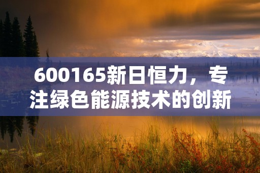 600165新日恒力，专注绿色能源技术的创新企业