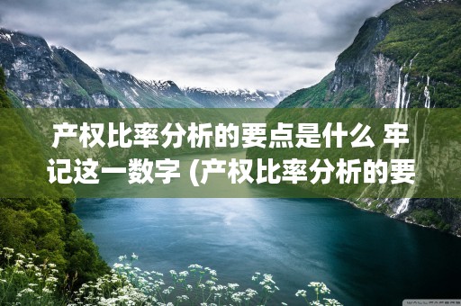 产权比率分析的要点是什么 牢记这一数字 (产权比率分析的要点是什么)