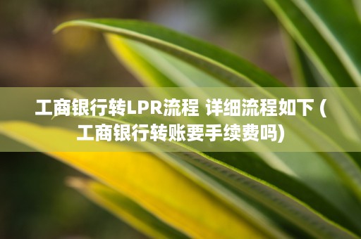 工商银行转LPR流程 详细流程如下 (工商银行转账要手续费吗)