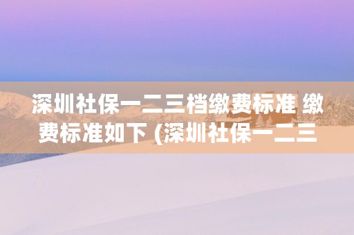 深圳社保一二三档缴费标准 缴费标准如下 (深圳社保一二三档缴费基数)