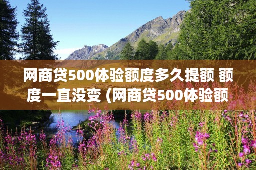 网商贷500体验额度多久提额 额度一直没变 (网商贷500体验额度)