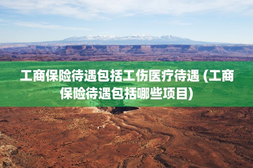 工商保险待遇包括工伤医疗待遇 (工商保险待遇包括哪些项目)