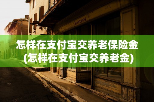 怎样在支付宝交养老保险金 (怎样在支付宝交养老金)