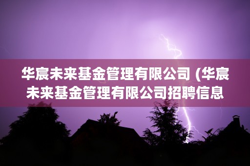 华宸未来基金管理有限公司 (华宸未来基金管理有限公司招聘信息)