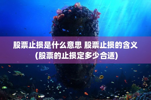 股票止损是什么意思 股票止损的含义 (股票的止损定多少合适)