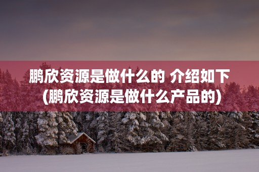 鹏欣资源是做什么的 介绍如下 (鹏欣资源是做什么产品的)