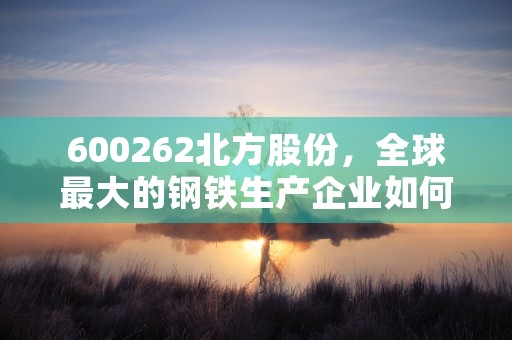 600262北方股份，全球最大的钢铁生产企业如何成就辉煌