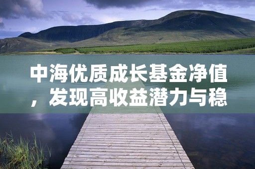 中海优质成长基金净值，发现高收益潜力与稳定回报