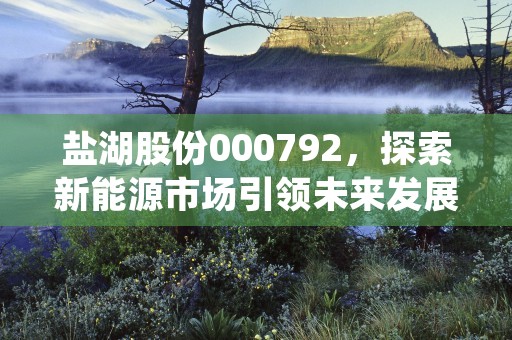 盐湖股份000792，探索新能源市场引领未来发展趋势，盐湖股份000792千股千评