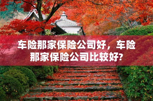 车险那家保险公司好，车险那家保险公司比较好?