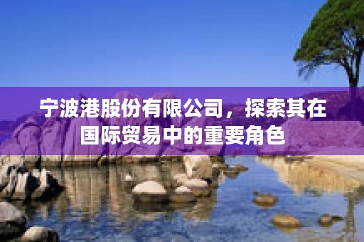 宁波港股份有限公司，探索其在国际贸易中的重要角色