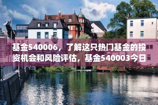 基金540006，了解这只热门基金的投资机会和风险评估，基金540003今日净值查询