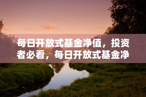 每日开放式基金净值，投资者必看，每日开放式基金净值查询1234567