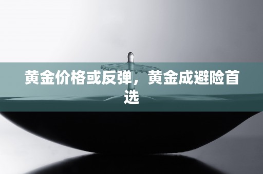 什么汽车保险好，了解这些关键因素以获得理想的保障，什么汽车保险好用