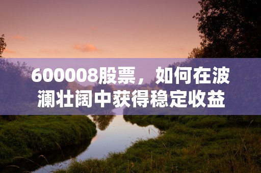 600008股票，如何在波澜壮阔中获得稳定收益