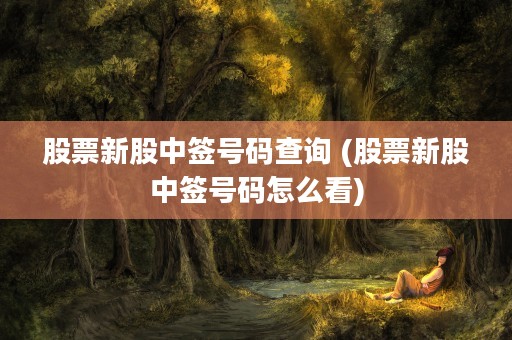 股票新股中签号码查询 (股票新股中签号码怎么看)