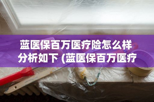 蓝医保百万医疗险怎么样 分析如下 (蓝医保百万医疗险费率表)