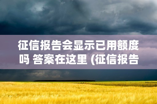 征信报告会显示已用额度吗 答案在这里 (征信报告会显示已婚未婚吗)