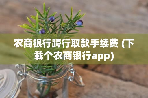 农商银行跨行取款手续费 (下载个农商银行app)