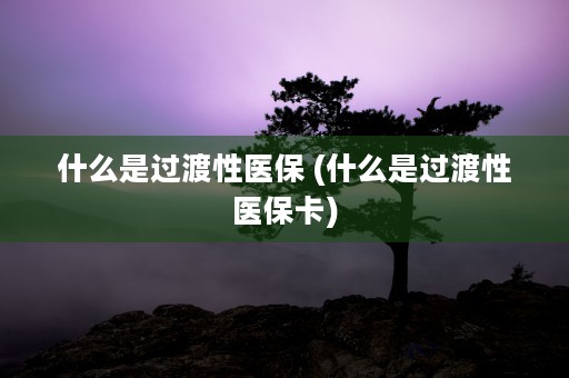 什么是过渡性医保 (什么是过渡性医保卡)