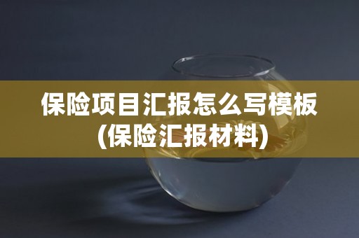 保险项目汇报怎么写模板 (保险汇报材料)