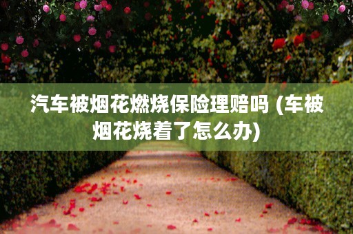 汽车被烟花燃烧保险理赔吗 (车被烟花烧着了怎么办)