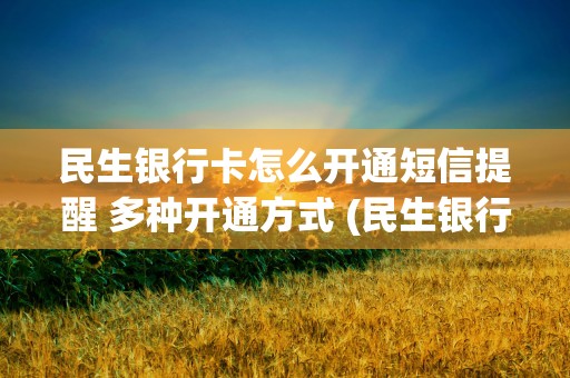 民生银行卡怎么开通短信提醒 多种开通方式 (民生银行卡怎么开通对外支付功能)