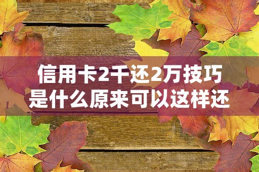 信用卡2千还2万技巧是什么原来可以这样还 (还信用卡20000元多少钱手续费)