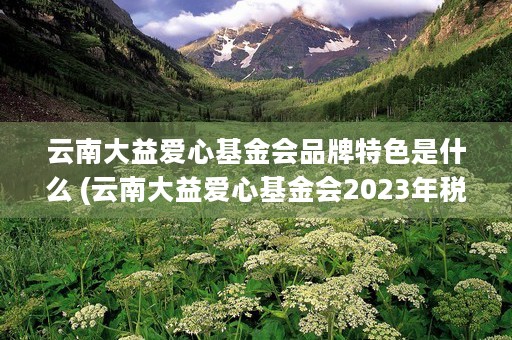 云南大益爱心基金会品牌特色是什么 (云南大益爱心基金会2023年税前扣除资格)