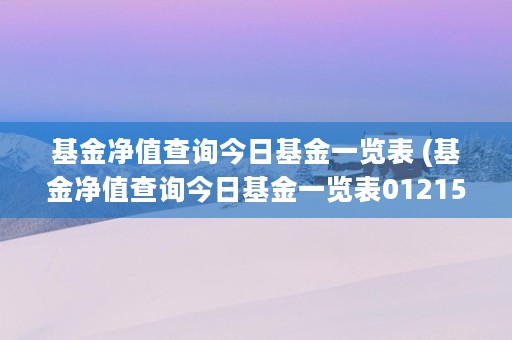 基金净值查询今日基金一览表 (基金净值查询今日基金一览表012159)