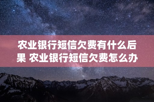 农业银行短信欠费有什么后果 农业银行短信欠费怎么办 (农业银行短信欠费补缴发什么短信)