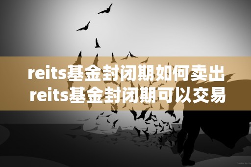 reits基金封闭期如何卖出 reits基金封闭期可以交易吗 (REITS基金封闭期是什么意思)