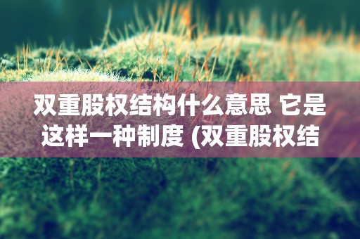 双重股权结构什么意思 它是这样一种制度 (双重股权结构)