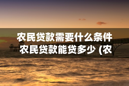 农民贷款需要什么条件 农民贷款能贷多少 (农民贷款需要什么材料)