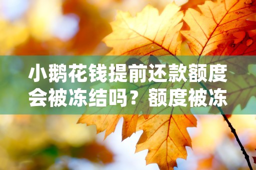 小鹅花钱提前还款额度会被冻结吗？额度被冻结要如何才能解冻？ (小鹅花钱提前还款后期有什么影响吗)