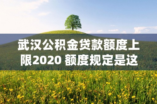 武汉公积金贷款额度上限2020 额度规定是这样的 (武汉公积金贷款额度是如何确定的)